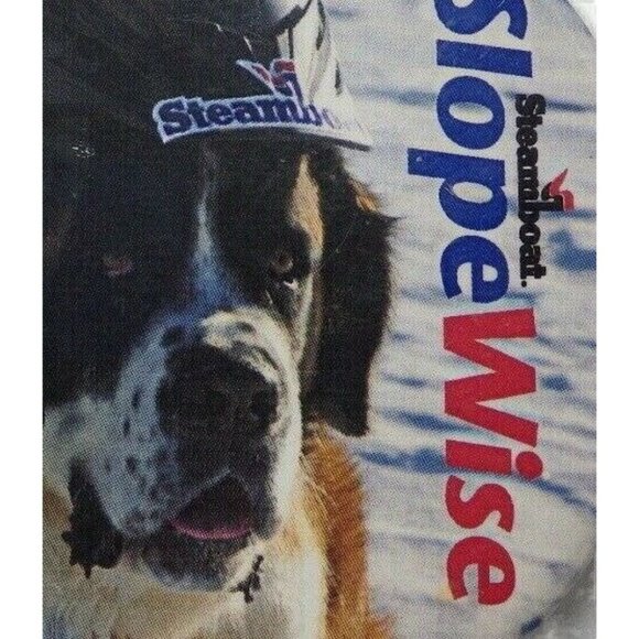 Slopewise St Bernard Pin Steamboat Springs Ski Patrol Safety Campaign - Picture 6 of 9